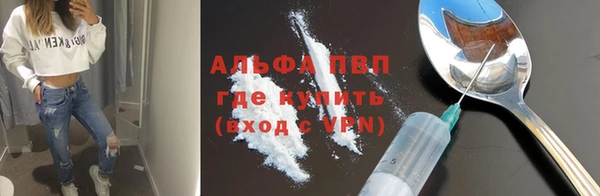 стафф Аркадак