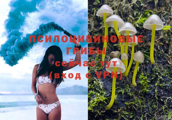 мет Арсеньев