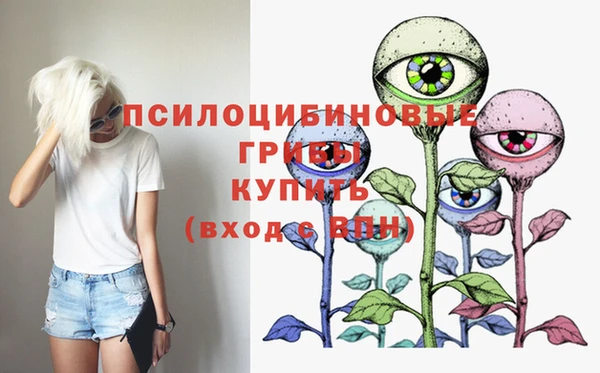 стафф Аркадак