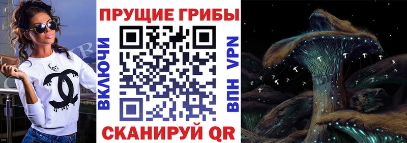 сайты даркнета клад  Мытищи  Галлюциногенные грибы Magic Shrooms  наркотики 