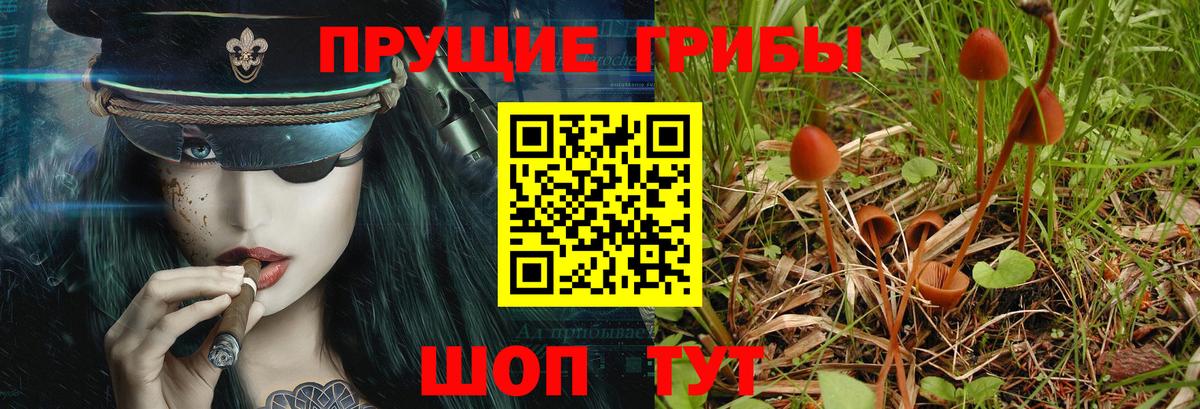 Галлюциногенные грибы мицелий Мытищи